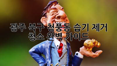 광주 북구 청풍동 습기 제거 청소, 완벽 가이드!