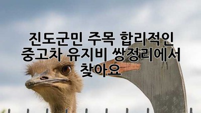 진도군민 주목! 합리적인 중고차 유지비, 쌍정리에서 찾아요! 🚗💨