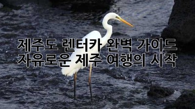 제주도 렌터카 완벽 가이드 🚗💨 자유로운 제주 여행의 시작!